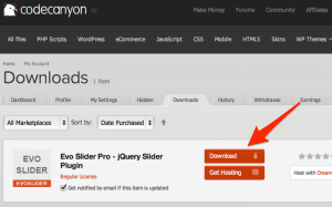 Downloads___CodeCanyon