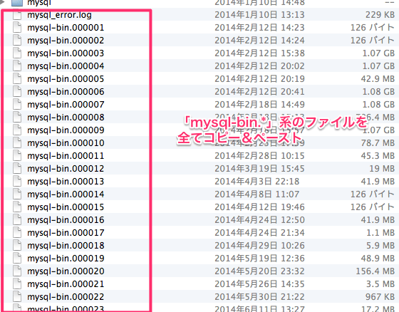 Mysql bin copy 5